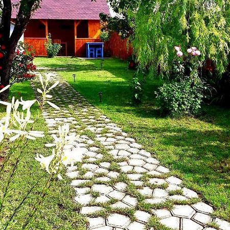 Casa Pavel Jurilovca Villa Buitenkant foto