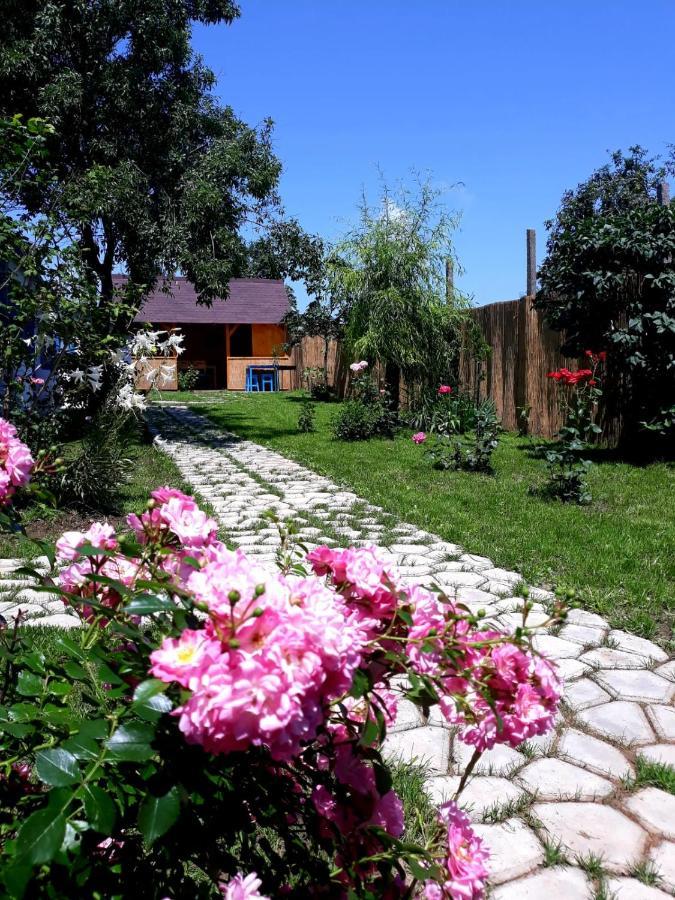 Casa Pavel Jurilovca Villa Buitenkant foto