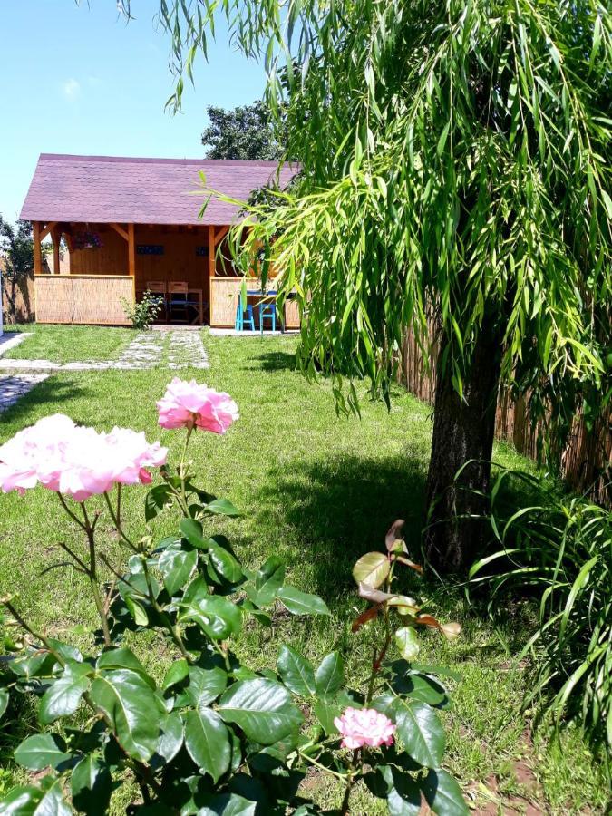 Casa Pavel Jurilovca Villa Buitenkant foto