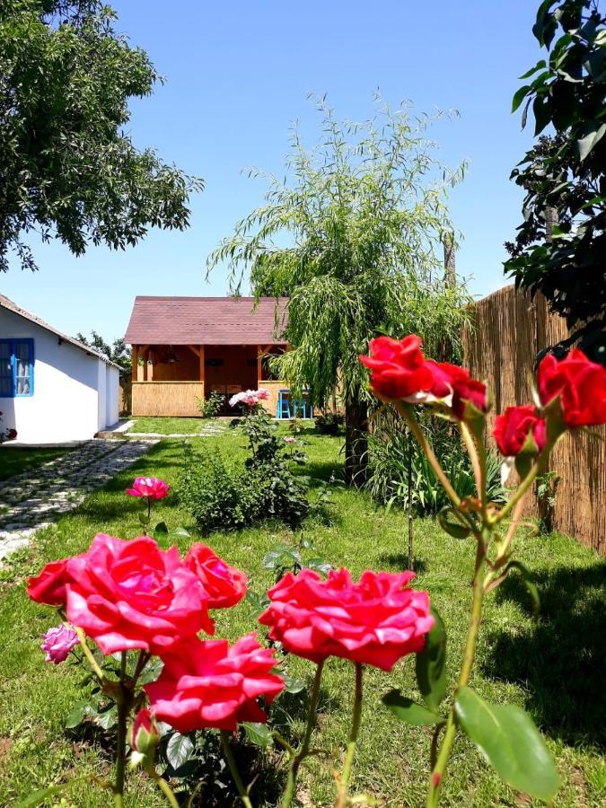 Casa Pavel Jurilovca Villa Buitenkant foto